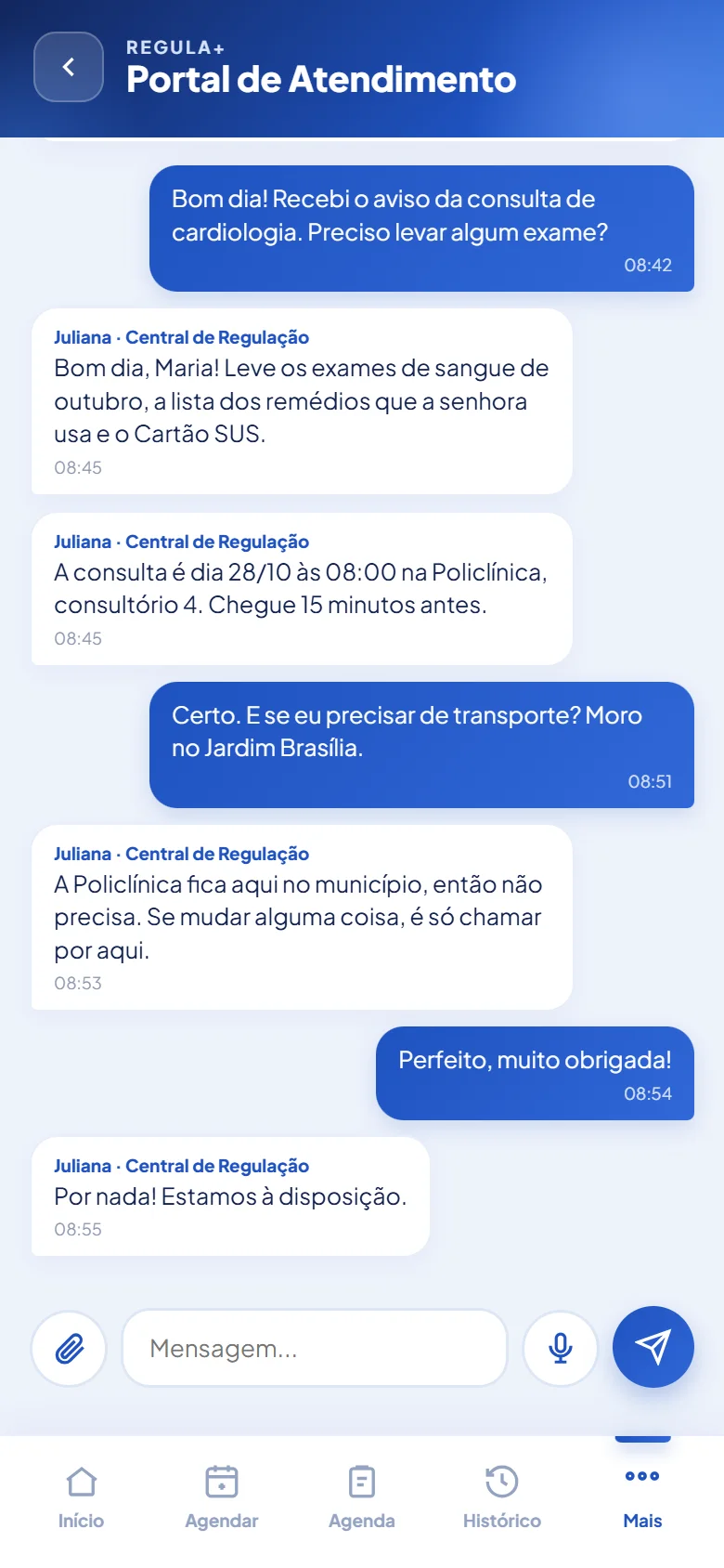 Conversa do cidadão com a Central de Regulação pelo Regula+, com dados fictícios